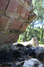 Ruins of an old cabin at Millbrook Plantation in West Ashley, Charleston, SC. Photo by Lorien Lucero.