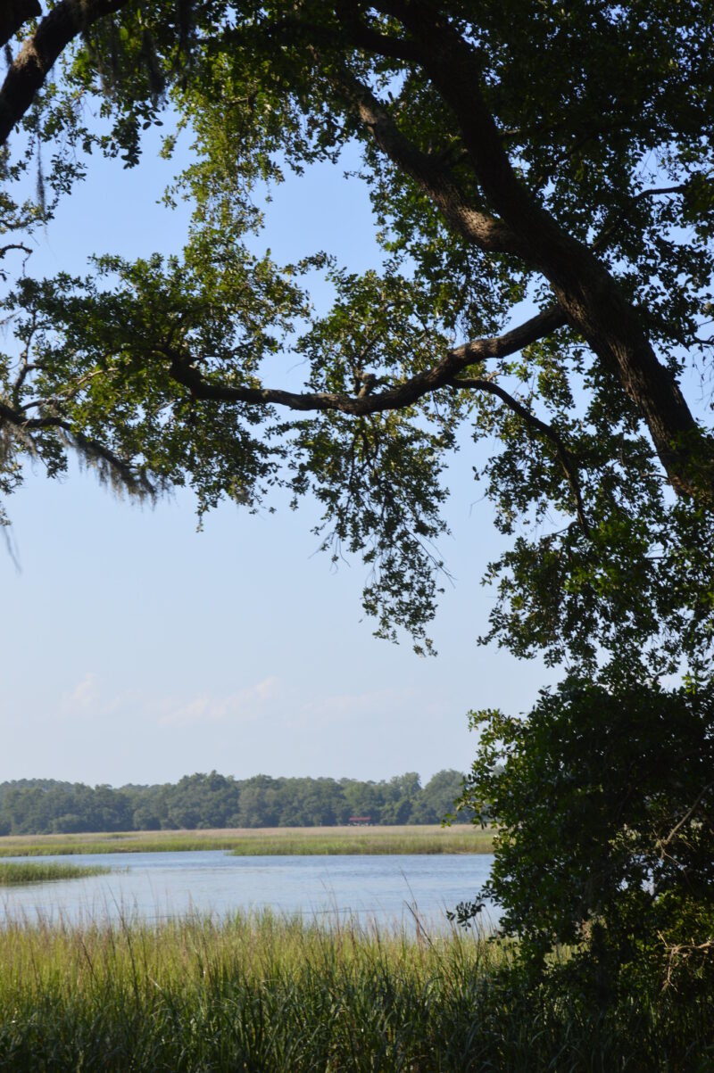 Botany Bay Plantation. Photo by Lorien Lucero.